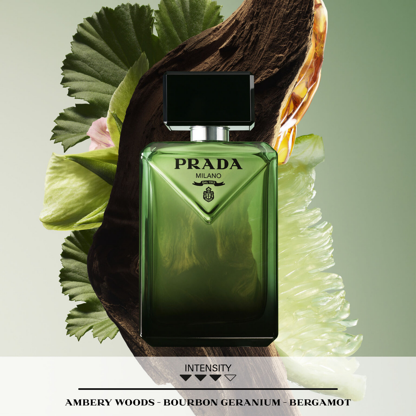 Paradigme Eau de Parfum 100ml