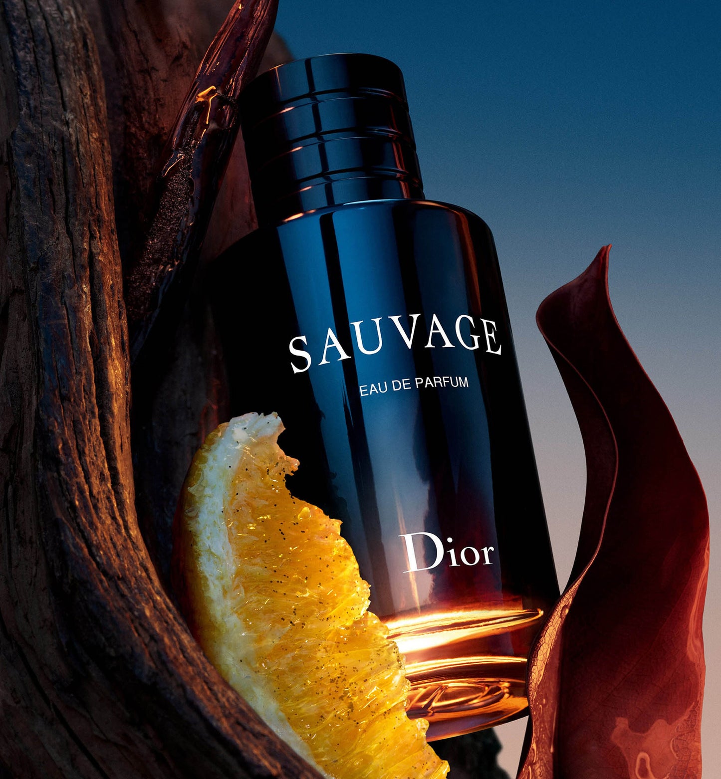 Sauvage Eau De Parfum 100M