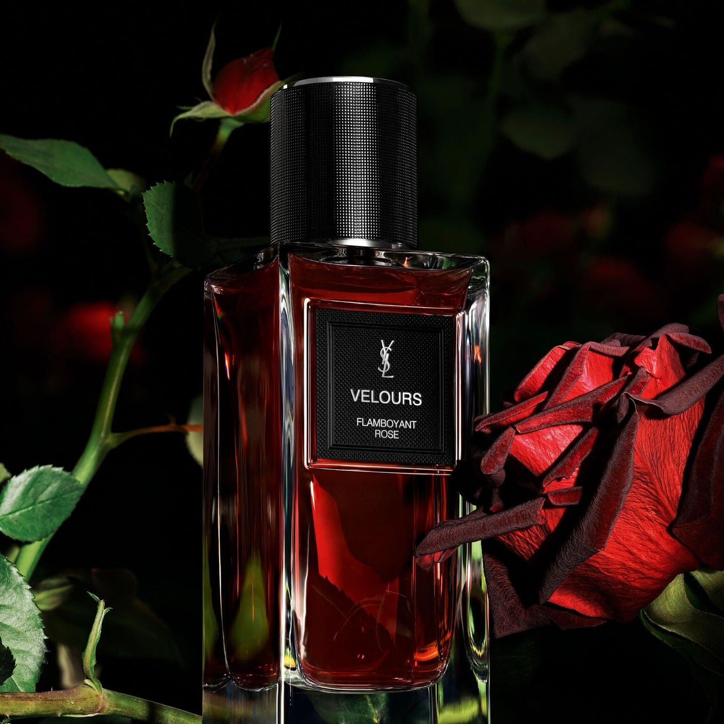 عطر فيلور من إيف سان لوران 125 مل