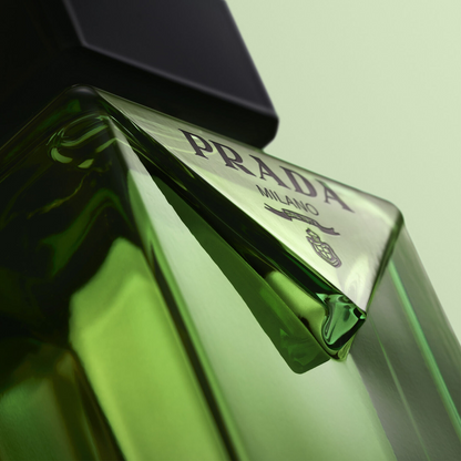 Paradigme Eau de Parfum 100ml